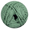 fern