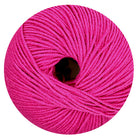 Sidney fuchsia